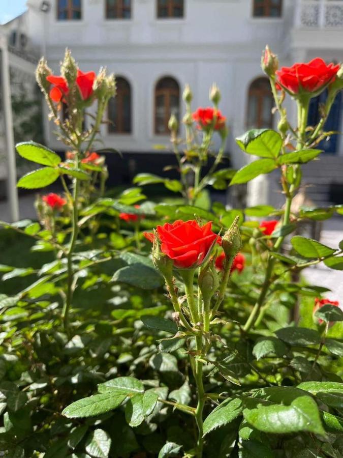 The Shahar Hotel Tashkent Luaran gambar